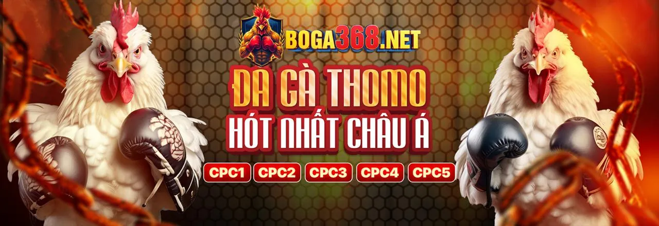 Đá Gà Trực Tuyến xxx88 Chính Thức 2026